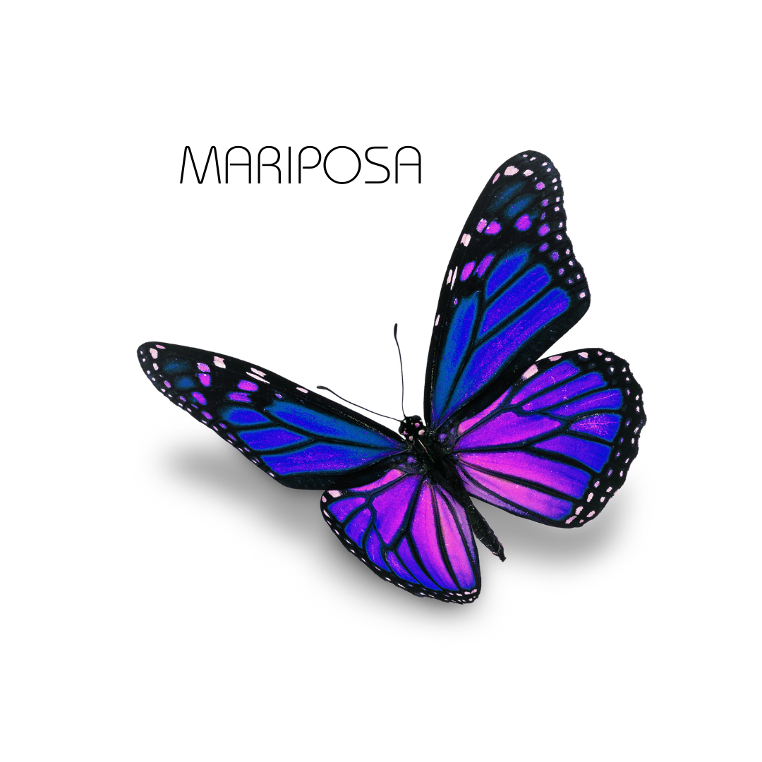 Mariposa by Sunshine - Lead Sheet Music