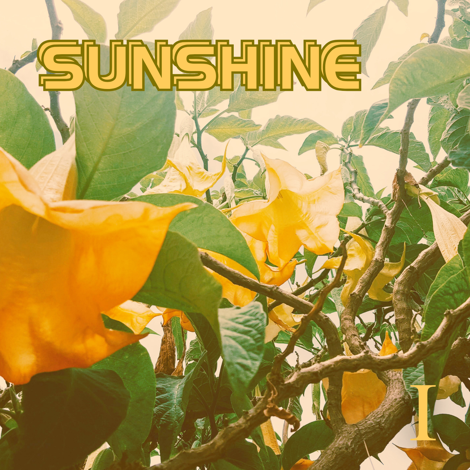 SUNSHINE_ALBUM_COVER_1_-