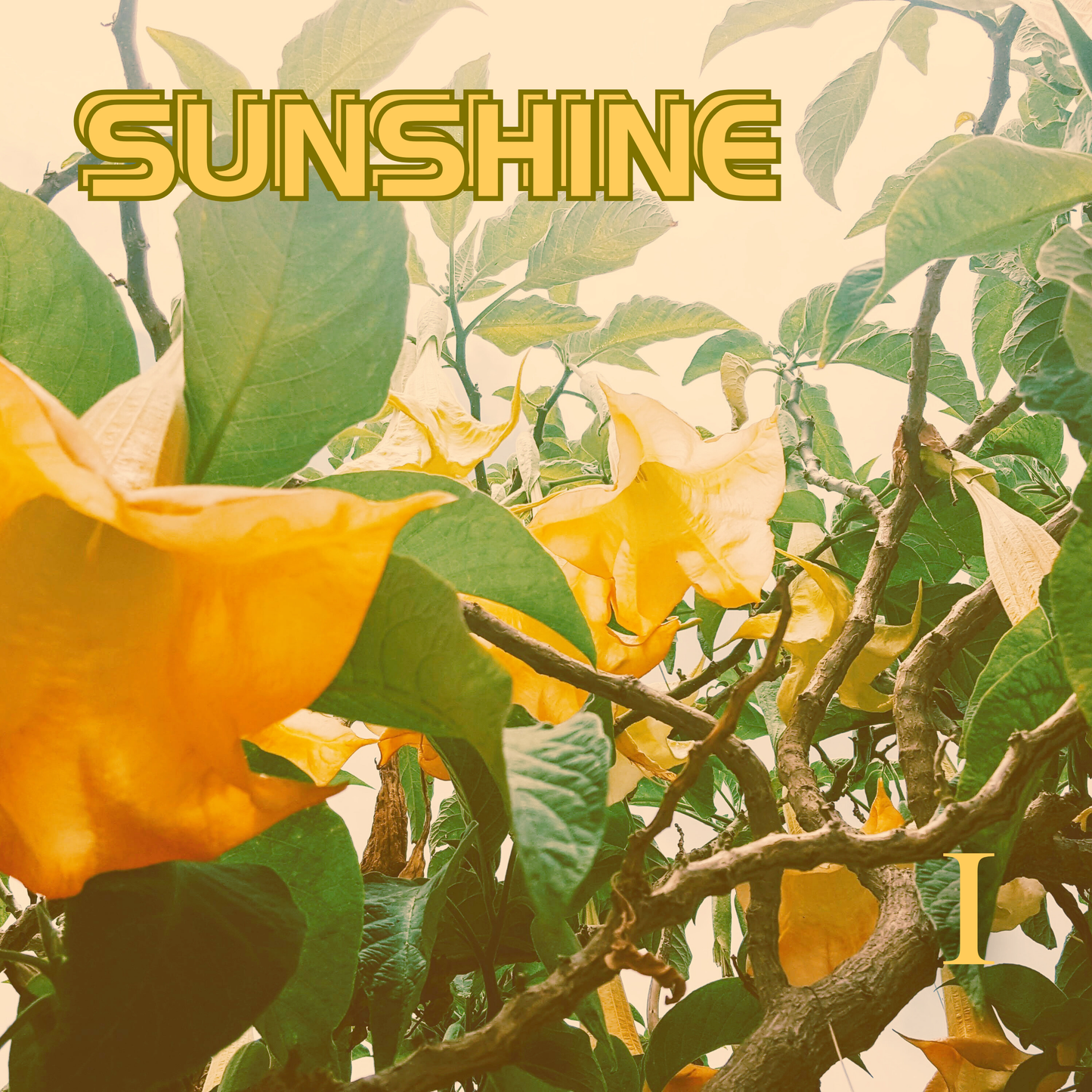 PRE-ORDER SUNSHINE - FULL ALBUM DOWNLOAD